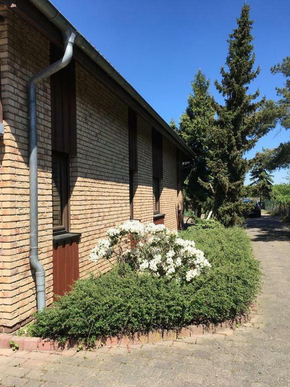 Ferienhaus Busch Leipzig Bagian luar foto